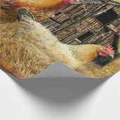 Rooster Hens Rustic Barn Coop Cadeaupapier (Hoek)