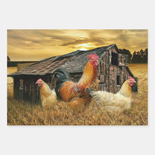 Rooster Hens Rustic Barn Coop Inpakpapier Vel (Voorkant 2)