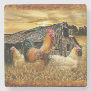 Rooster Hens Rustic Barn Coop Stenen Onderzetter