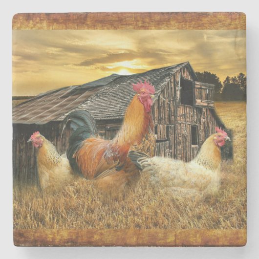 Rooster Hens Rustic Barn Coop Stenen Onderzetter (Voorkant)