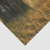 Rooster Hens Rustic Barn Coop Tissuepapier (Detail)