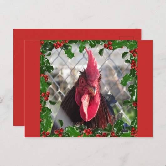 Rooster Holly Christmas Briefkaart (Voorkant / Achterkant)