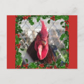 Rooster Holly Christmas Briefkaart (Voorkant)