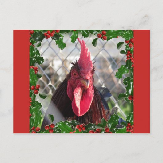 Rooster Holly Christmas Briefkaart (Voorkant)