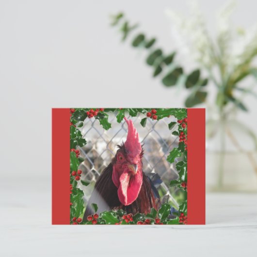 Rooster Holly Christmas Briefkaart (Staand voorkant)
