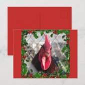 Rooster Holly Christmas Briefkaart (Voorkant / Achterkant)