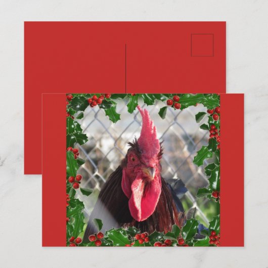 Rooster Holly Christmas Briefkaart (Voorkant / Achterkant)
