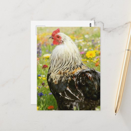 Rooster in a Flower Meadow Briefkaart (Voorkant / Achterkant in situ)