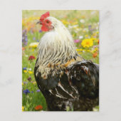 Rooster in a Flower Meadow Briefkaart (Voorkant)
