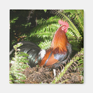 Rooster in de bladeren magneet