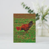 Rooster in de gras briefkaart (Staand voorkant)