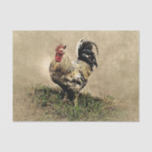  rooster in de gras tissuepapier (Voorkant)