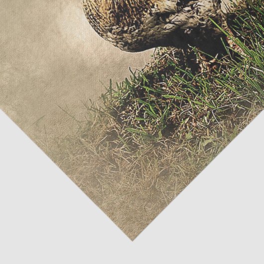  rooster in de gras tissuepapier (Detail)