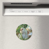 Rooster in de Hay Meadow Magneet (Insitu (Vaatwasser))