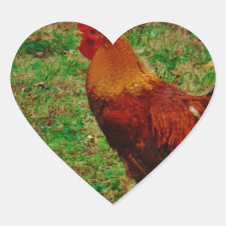 Rooster in de Yard Hart Sticker