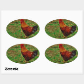 Rooster in de Yard Ovale Sticker (Vel)