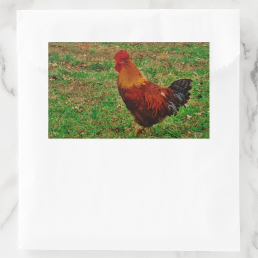 Rooster in de Yard Rechthoekige Sticker (Tas)