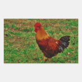 Rooster in de Yard Rechthoekige Sticker (Voorkant)