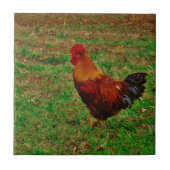 Rooster in de Yard Tegeltje (Voorkant)