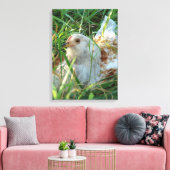 Rooster in hooibeemdoek canvas afdruk (Insitu (Woonkamer))