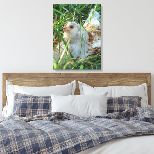Rooster in hooibeemdoek canvas afdruk (Insitu (Slaapkamer))