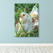Rooster in hooibeemdoek canvas afdruk (Insitu (Houten vloer))