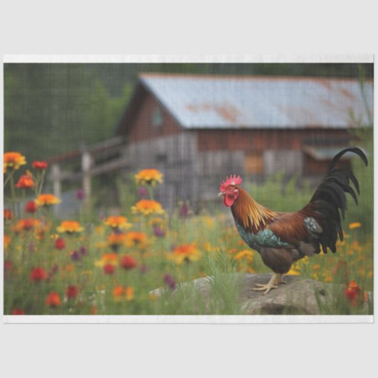Rooster in Land 2 Decoupage Papier (Voorkant)