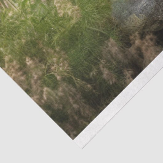 Rooster in Land 4 Decoupage Papier (Detail)