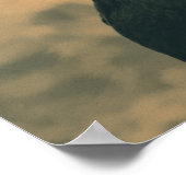 Rooster in Sepia Poster (Hoek)