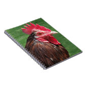 Rooster Journal Notitieboek (Rechterzijde)