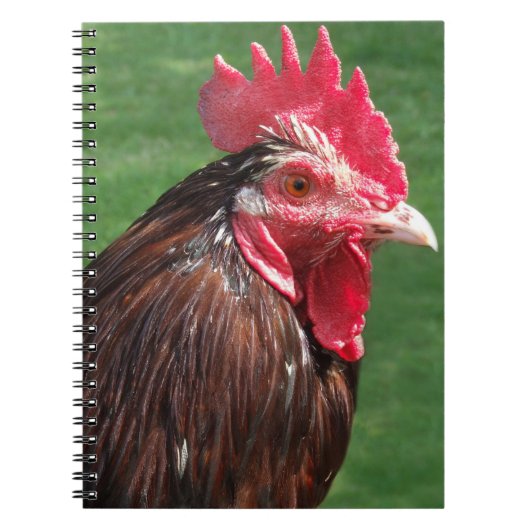 Rooster Journal Notitieboek (Voorkant)