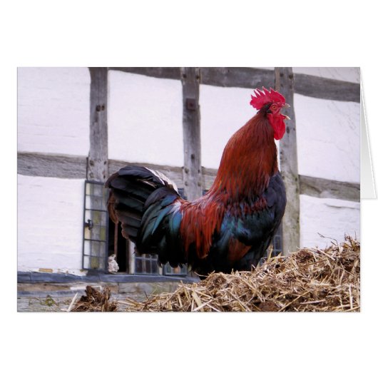 ROOSTER-Kaart (Voorkant Horizontaal)