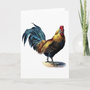 Rooster Kaart