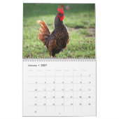 Rooster Kalender (Jan 2027)