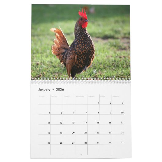 Rooster Kalender (Jan 2026)