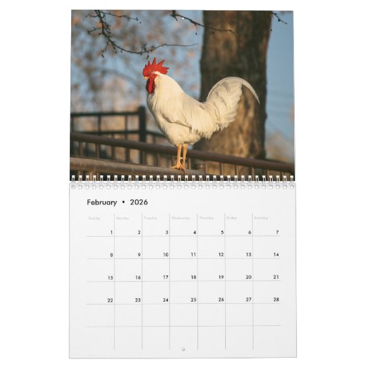 Rooster Kalender (Feb 2026)