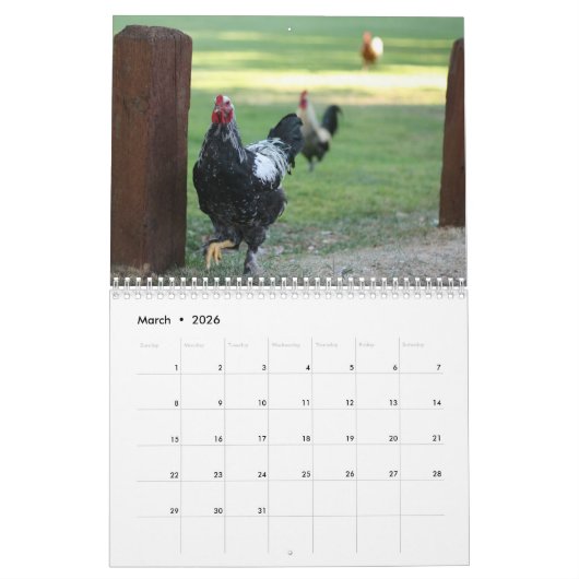 Rooster Kalender (Mar 2026)