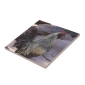 Rooster keramische Tegel Tegeltje (Zijkant)
