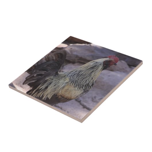 Rooster keramische Tegel Tegeltje (Zijkant)
