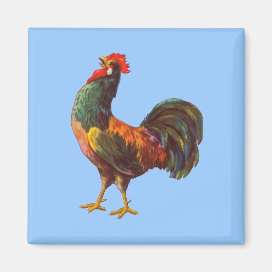 Rooster  Keuken Kist Kunstmagneet Magneet (Voorkant)