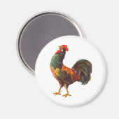 Rooster  Kitchen Crate Art Magneet (Voorkant / Achterkant)