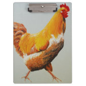 Rooster Klembord (Voorkant)