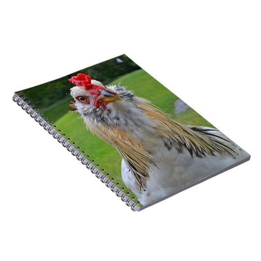 Rooster-laptop Notitieboek (Rechterzijde)