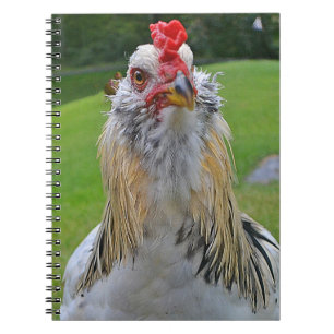 Rooster-laptop Notitieboek