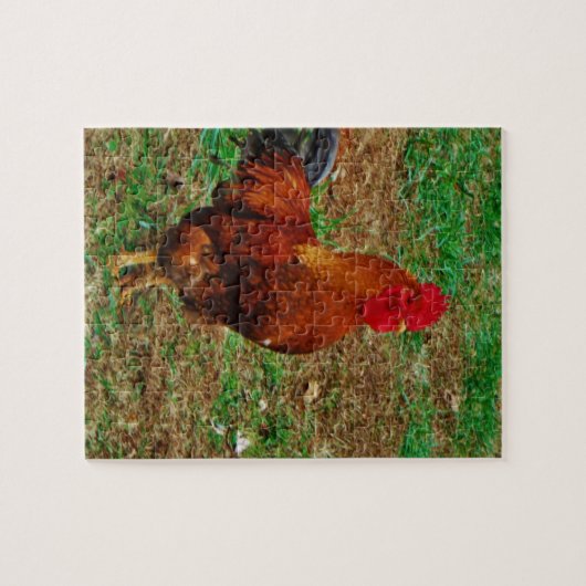 Rooster Legpuzzel (Horizontaal)