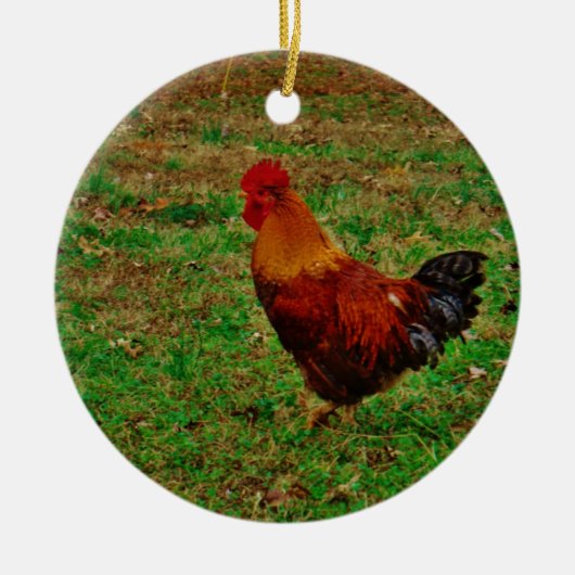 Rooster links keramisch ornament (Voorkant)