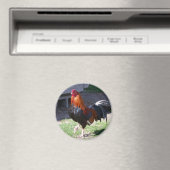 Rooster Magneet (Insitu (Vaatwasser))