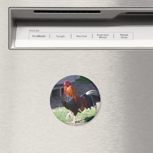 Rooster Magneet (Insitu (Vaatwasser))