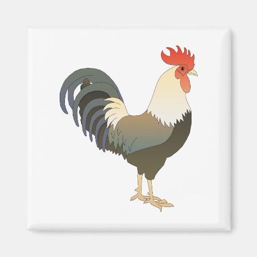 Rooster Magneet (Voorkant)