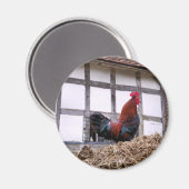 ROOSTER MAGNEET (Voorkant / Achterkant)